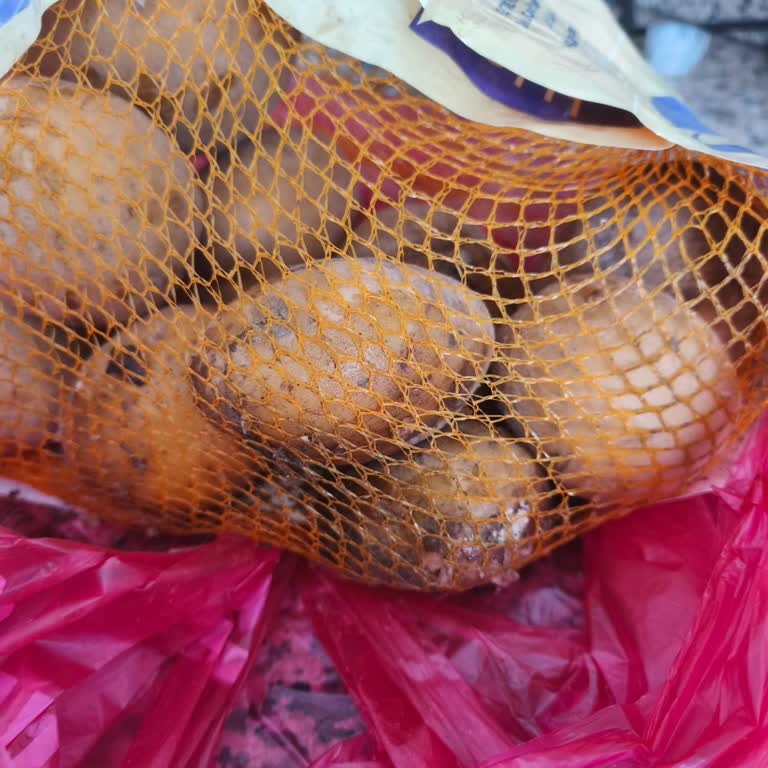 Bozuk Patates Teslimatı Ve Yetersiz Destek Nedeniyle Mağduriyet