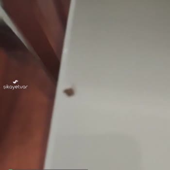 Vivense Hasarlı Ürün Gönderildi Ve Muhatap Yok