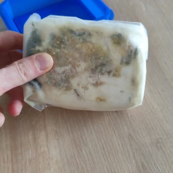 Aldığım Peynir Küflü Çıktı İade Kabul Edilmedi