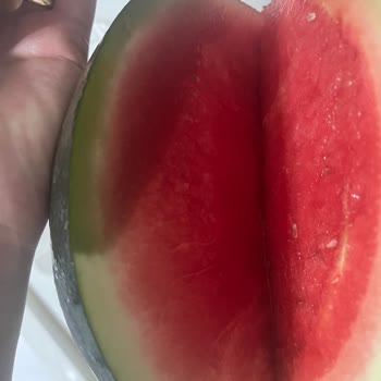 Buzdolabım Sürekli Donma Sorunu Yaşıyor, Çözüm Sunulmuyor