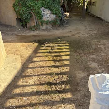 Hijyen Sorunları Ve İade Talebi: Kuşadası Risus Hotel'de Kötü Deneyim