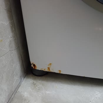 Bosch Çamaşır Makinesi Kısa Sürede Paslandı Ve Arızalandı, Güvenim Sarsıldı