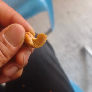 Urfalıoğlu Kuruyemiş Bayat ve Kurtlu