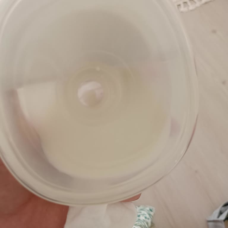 Lansinoh Göğüs Pompası Vakum Gücü Hızla Azaldı