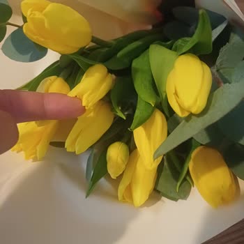 Siparişim Yanlış Ve Kalitesiz Ürünle Teslim Edildi Mağduriyetim Giderilmedi