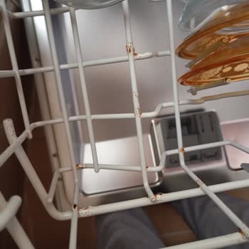 Bosch Bulaşık Makinesi Sepetleri Paslandı, Sağlık Riski Oluştu!