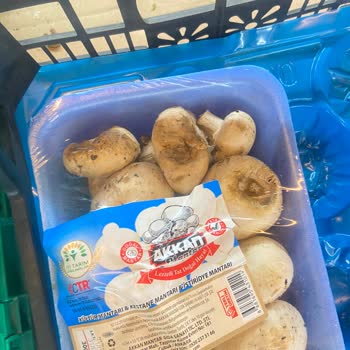 Şok Marketten Alınan Ürünlerde Sürekli Bozukluk Ve Sağlık Sorunu Yaşadım