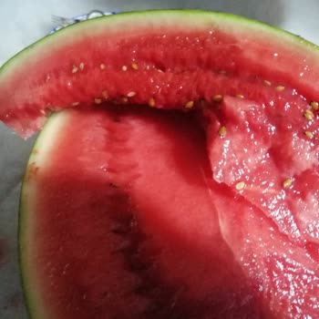 Bozuk Karpuz İçin Ücret İadesi Talebim Karşılanmadı