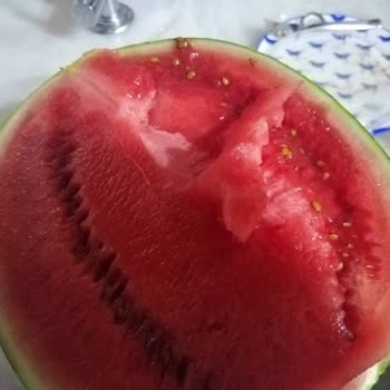 Bozuk Karpuz İçin Ücret İadesi Talebim Karşılanmadı