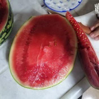 Bozuk Karpuz İçin Ücret İadesi Talebim Karşılanmadı