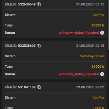 Pashagaming Hesabıma İzinsiz Giriş Yapıldı, 60.000 TL Bakiyem Kayboldu ve Güvenlik Zafiyeti Yaşadım