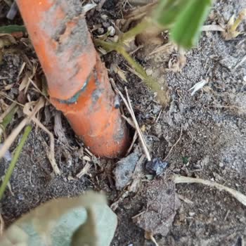 Fiber Kablo Kesintisi Nedeniyle Günlerdir İnternetsiz Kaldık, Mağduriyetimiz Giderilmiyor