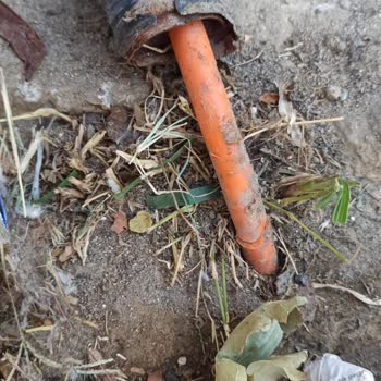 Fiber Kablo Kesintisi Nedeniyle Günlerdir İnternetsiz Kaldık, Mağduriyetimiz Giderilmiyor