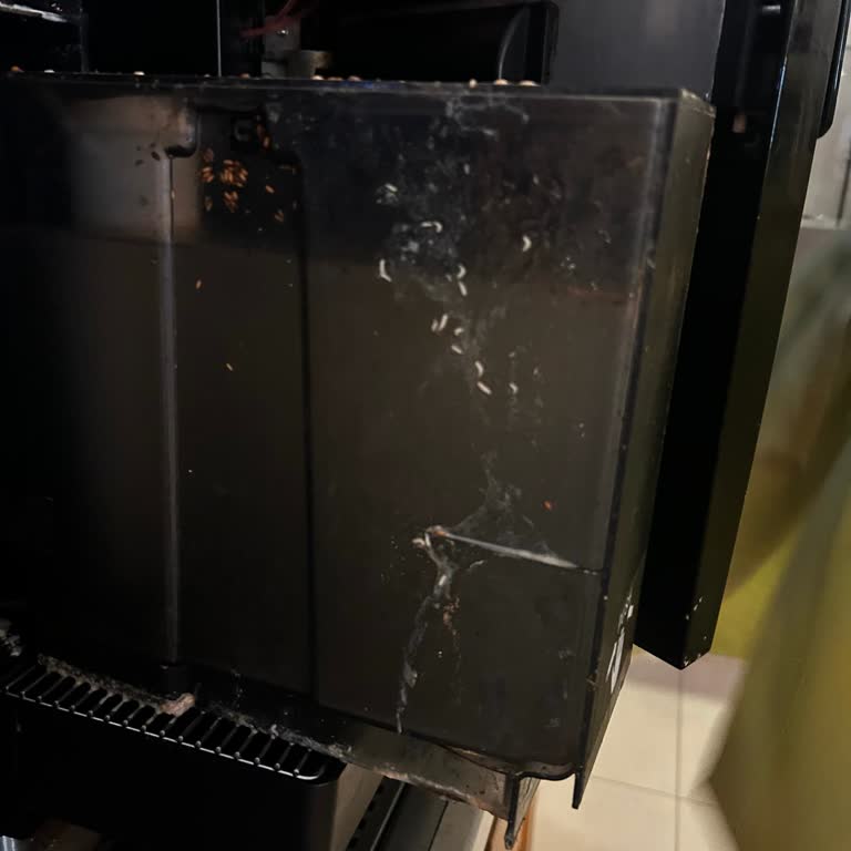 Otelin Pastane Alanında Hijyen Sorunu Ve Ağır Koku Mağduriyeti