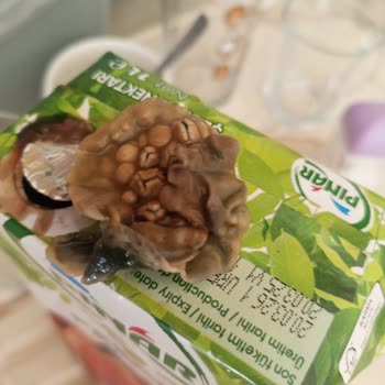 Son Kullanma Tarihi Geçmemiş Meyve Suyundan Küf Çıkması Sağlık Riski Oluşturuyor