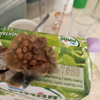 Son Kullanma Tarihi Geçmemiş Meyve Suyundan Küf Çıkması Sağlık Riski Oluşturuyor