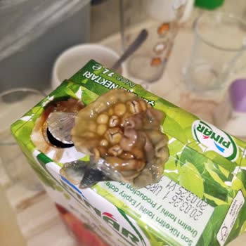 Son Kullanma Tarihi Geçmemiş Meyve Suyundan Küf Çıkması Sağlık Riski Oluşturuyor