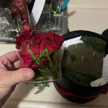 Çiçek Sepeti Siparişim Görsele Uymadı Müşteri Hizmetleri İlgisiz Kaldı