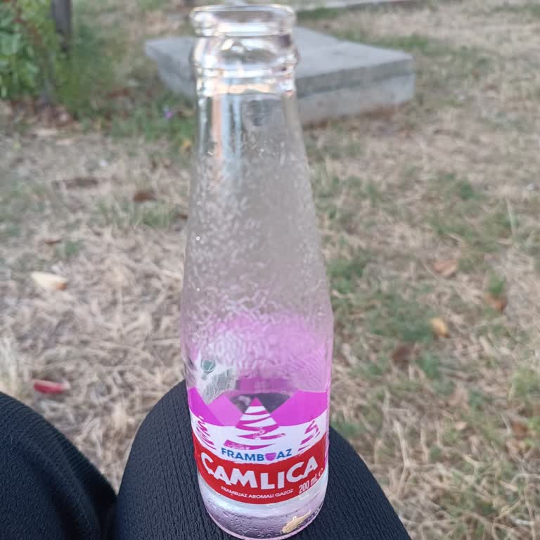 Çamlıca Gazoz Çamlıca Frambuaz Aromalı Gazozun Yapay Ve Zorlayıcı Tadı