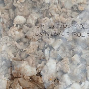 Şampiyon Kokoreç Ürününde Kıl Çıkması Ve Hijyen Sorunu