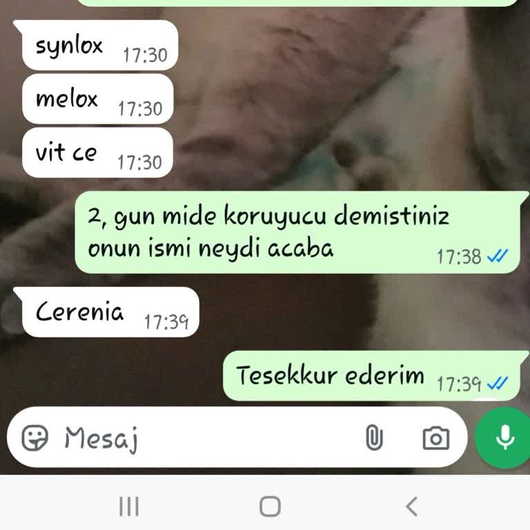 Animal City Veteriner Kliniği Yanlış Tanı ve Tedavi