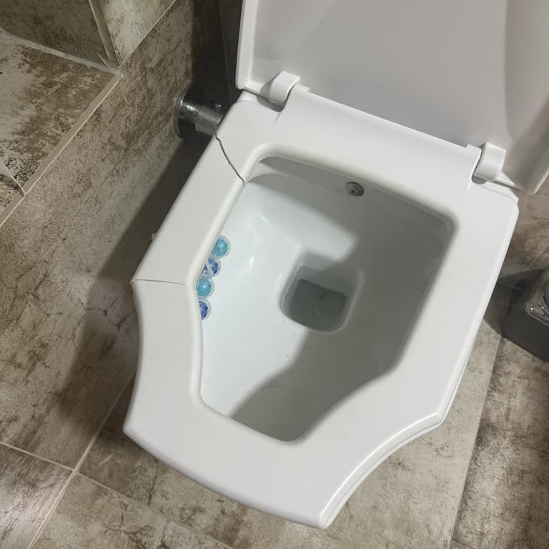 Bien Klozet Kapağına Ulaşamıyorum, Destek Bekliyorum