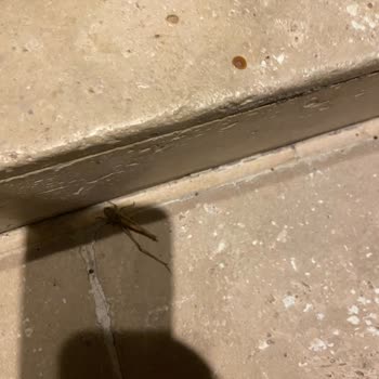 Otel Temizlik Sorunu Ve Ücret İadesinde Yaşanan Mağduriyet