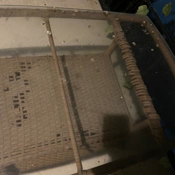 Otel Temizlik Sorunu Ve Ücret İadesinde Yaşanan Mağduriyet