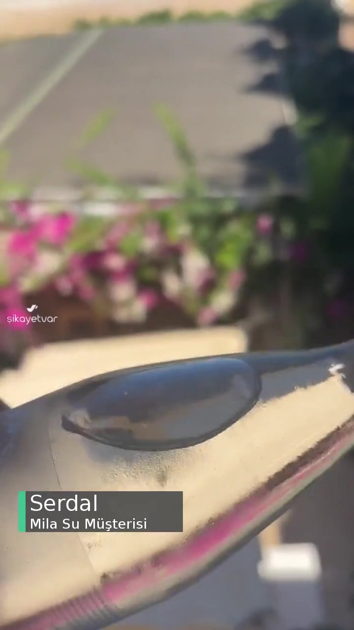 Mila Su Pişmanlıktır videonun kapak resmi