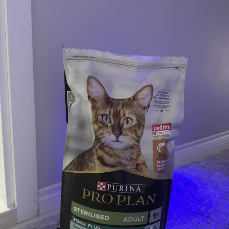 Aldığım Kedi Maması Orijinal Değil, Kedim Yemiyor