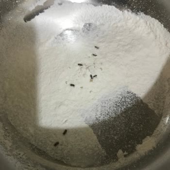 Aldığım Un Paketlerinde Böcek Çıktı, Müşteri Hizmetlerine Ulaşamıyorum
