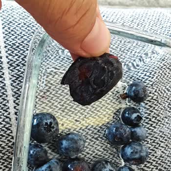 Bozuk Yaban Mersini Satışı Ve Değişim Talebi