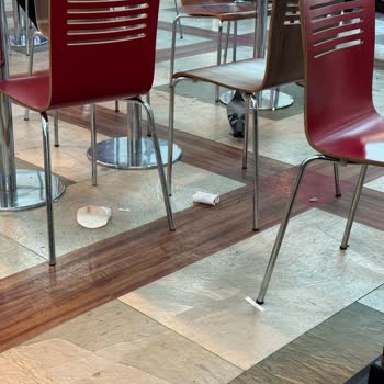 Esenboğa Havalimanı Burger King Önünde Ciddi Temizlik Ve Hijyen Sorunu