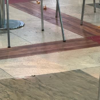 Esenboğa Havalimanı Burger King Önünde Ciddi Temizlik Ve Hijyen Sorunu