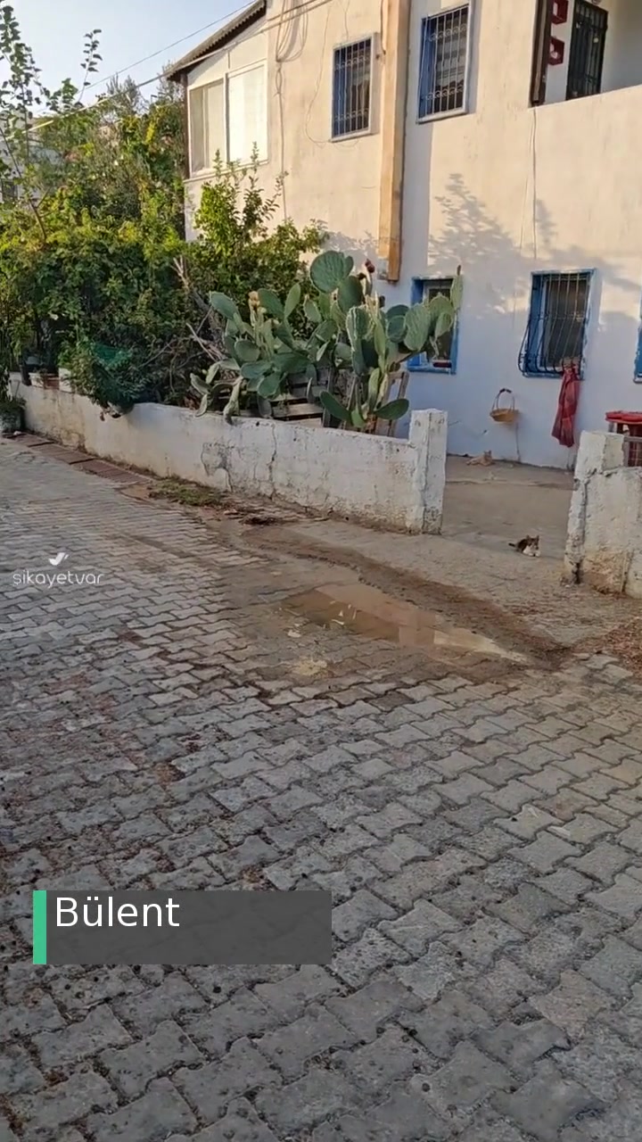 MUSKİ Gümüşlük Salkım Sokak Su Borusu Patlaması videonun kapak resmi