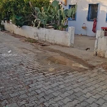 MUSKİ Gümüşlük Salkım Sokak Su Borusu Patlaması