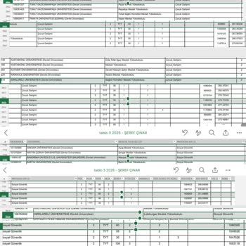 Yerleştirme Puanım Yeterli Olmasına Rağmen Hiçbir Programa Yerleştirilemedim