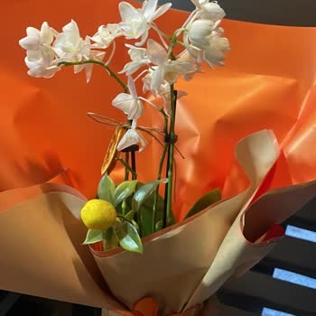 Geç Teslimat, Solmuş Ürün Ve Yetersiz Müşteri Hizmeti Nedeniyle Hayal Kırıklığı