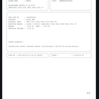 Onaylanan Para Çekme İşlemine Rağmen Hesabıma Erişim Sağlayamıyorum