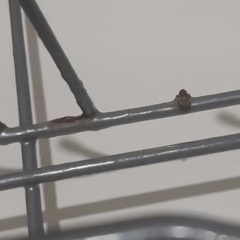 Bulaşık Makinesi Sepetleri Kısa Sürede Paslandı Yemek Takımım Zarar Gördü