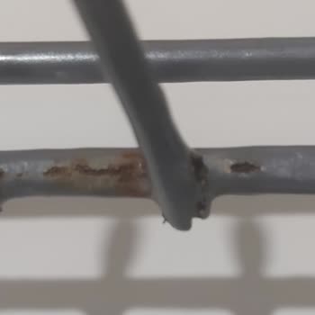 Bulaşık Makinesi Sepetleri Kısa Sürede Paslandı Yemek Takımım Zarar Gördü