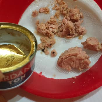 Ton Balığı Konservesinde Siyah Yabancı Maddeyle Karşılaştım, Çözüm Bekliyorum
