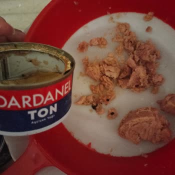 Ton Balığı Konservesinde Siyah Yabancı Maddeyle Karşılaştım, Çözüm Bekliyorum