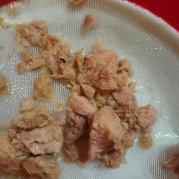 Ton Balığı Konservesinde Siyah Yabancı Maddeyle Karşılaştım, Çözüm Bekliyorum