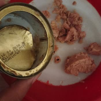 Ton Balığı Konservesinde Siyah Yabancı Maddeyle Karşılaştım, Çözüm Bekliyorum