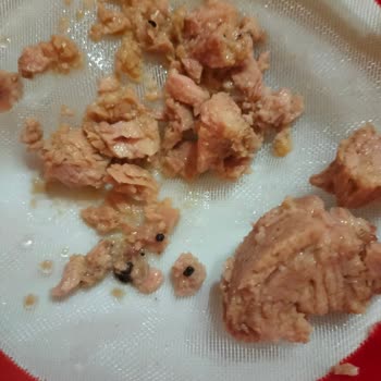 Ton Balığı Konservesinde Siyah Yabancı Maddeyle Karşılaştım, Çözüm Bekliyorum