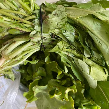 Şok Market'ten Sürekli Çürük Ürün Ve İlgisiz Hizmet!