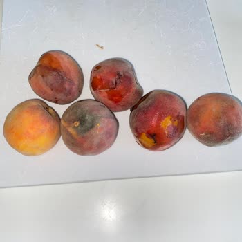 Şok Market'ten Sürekli Çürük Ürün Ve İlgisiz Hizmet!