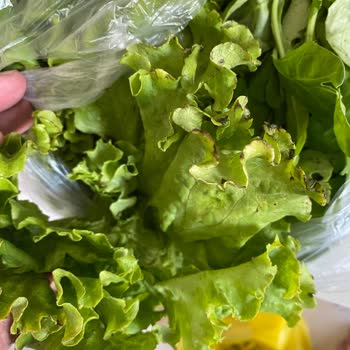 Şok Market'ten Sürekli Çürük Ürün Ve İlgisiz Hizmet!