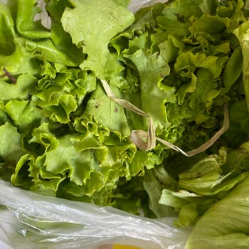 Şok Market'ten Sürekli Çürük Ürün Ve İlgisiz Hizmet!